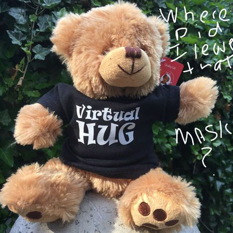 Teddy Bear with Tee & Mask